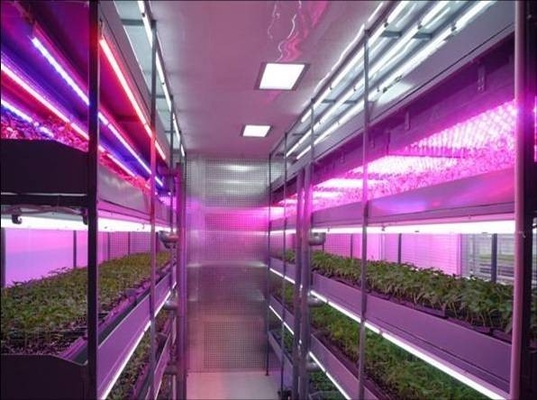 T8 防水 LED の植物はライトを育てます、LED は屋内植物および穀物のためのライトを育てます